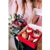 LelisCupcakes Valentyn24 Jona Novak0095 websize