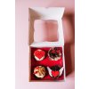 LelisCupcakes Valentyn24 Jona Novak0069 websize