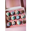 Ledové království - 12ks cupcakes (v krabičce)