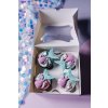 2024Cerven LelisCupcakes 73 websize