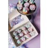 2024Cerven LelisCupcakes 67 websize