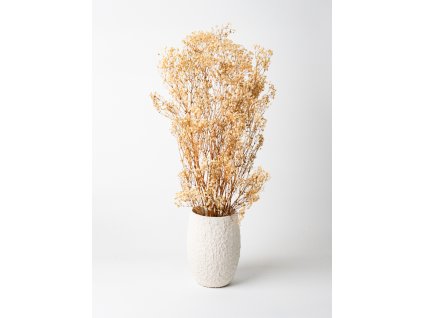 stabilizovaná gypsophila vo váze