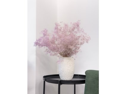 Stabilizovaná Gypsophila mini - levanduľa