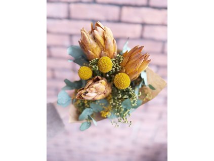 Stabilizovaná kytica protea