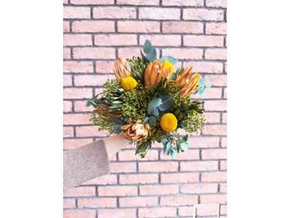 Stabilizované rastliny