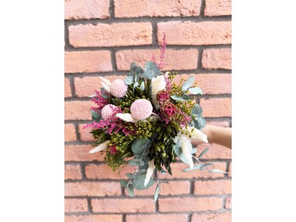 Stabilizované rastliny