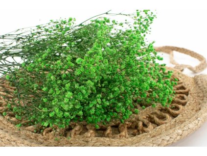 Gypsomila zelena 4