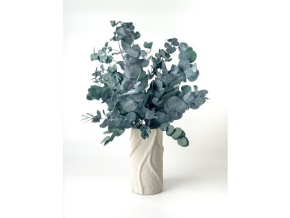 sušený eukalyptus modrozlenej farby