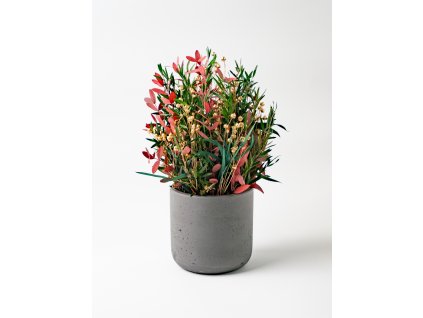 Stabilizovaný aranžmán „Red Christmas” v kompozitnom kvetináči