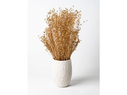 Stabilizovaný ľan – zlatý zväzok sušených stebiel