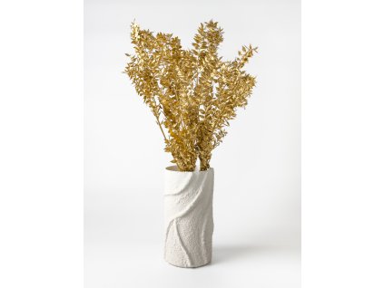 Stabilizovaný ruskus – zlatý zväzok v elegantnej váze