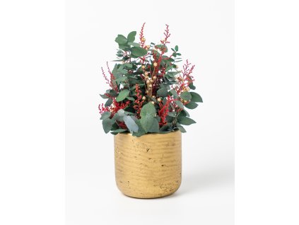 Stabilizovaný aranžmán Festive Gold v zlatom kvetináči