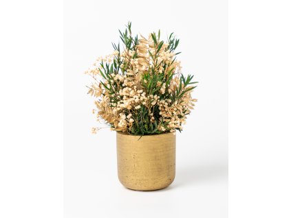 Stabilizovaný aranžmán Golden Nature v zlatom kvetináči