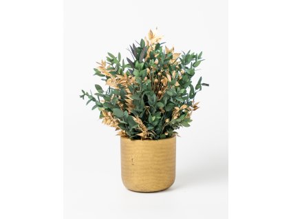 Stabilizovaný aranžmán Golden Greenery v zlatom kvetináči