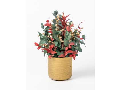 Stabilizovaný aranžmán Christmas Eucalyptus v zlatom kvetináči
