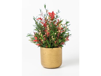 Vianočná dekorácia na stôl