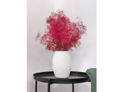 mini gypsophila červená