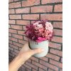 Stabilizovaný aranžmán v kompozitnom kvetináči "Pink Roses"