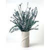 Stabilizovaný eukalyptus Baby Blue – zelený zväzok vo váze
