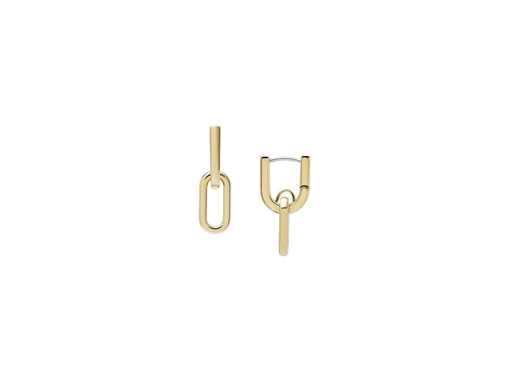 12265 fossil heritage damske nausnice ocelove jf04780710