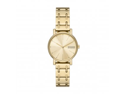 10387 skagen signatur lille damske hodinky kulate skw3124