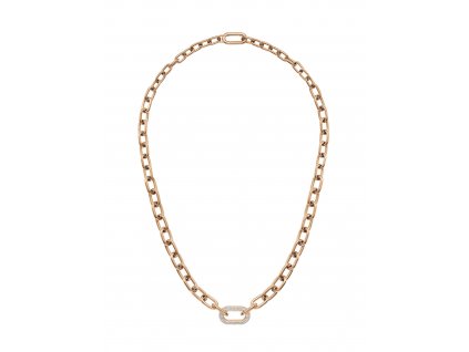 10903 4 daniel wellington ruzovozlaty nahrdelnik ocelovy dw00400571