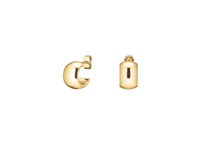 11846 rosefield damske nausnice pozlacene jeswg j930