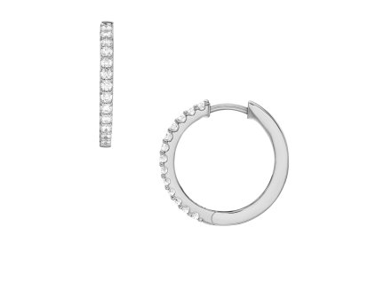 12247 fossil ellis damske nausnice mosazne ja7234040