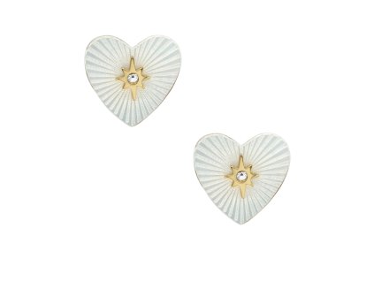 12256 fossil sutton damske nausnice ocelove jf04732710