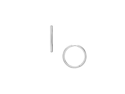 12259 fossil ellis damske nausnice ocelove jf04743040