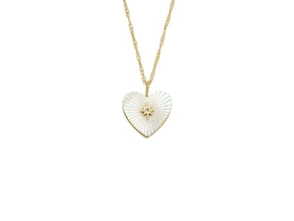 12715 fossil damsky nahrdelnik ocelovy jf04731710