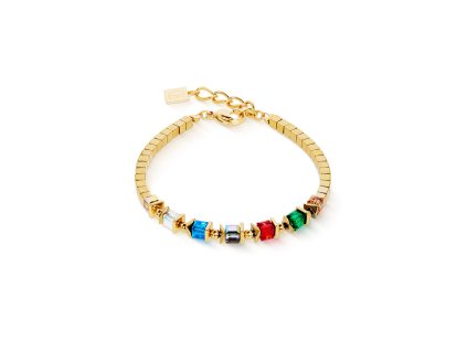 Coeur De Lion women's bracelet Iconic Evolution 2100/30-1516