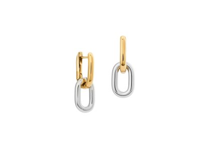 DW00401979 Contrast Link Earrings Two Tone S G 01 4000x5000