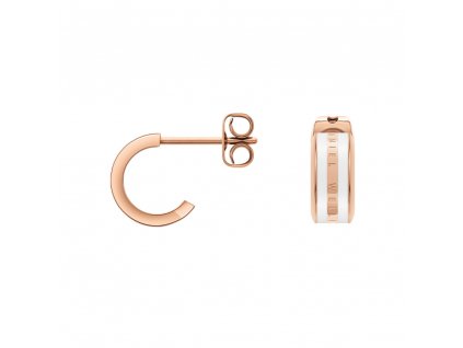 2700 3 daniel wellington ocelove nausnice dw00400148