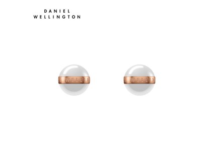 4401 2 daniel wellington aspiration earrings dw00400152