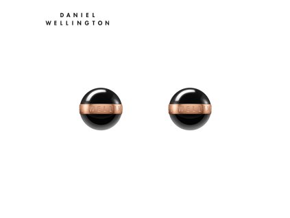 4404 2 daniel wellington aspiration earrings dw00400151