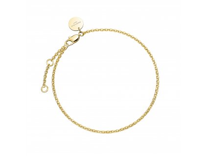 6998 1 rosefield naramek zlate barvy thin chain jbolg j599