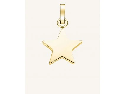 7481 2 rosefield privesek zlate barvy symbol star
