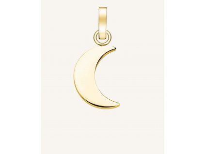 7493 2 rosefield privesek zlate barvy symbol moon