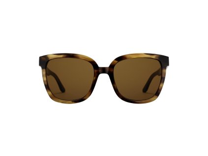 7816 3 daniel wellington slunecni bryle dw00900033