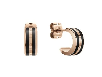 7960 4 daniel wellington ocelove nausnice dw00400310