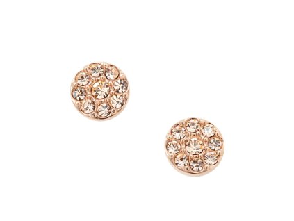 8927 fossil damske nausnice ocelove jf00830791