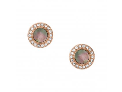 8933 fossil damske nausnice ocelove jf02949791