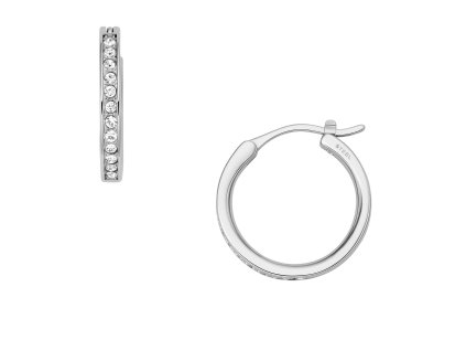 8963 fossil damske nausnice ocelove jof00337040