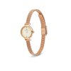 11639 1 daniel wellington petite mini 19 melrose dw00100741