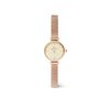 11639 daniel wellington petite mini 19 melrose dw00100741