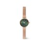 11642 daniel wellington petite mini 19 melrose dw00100742