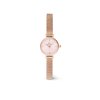 11645 daniel wellington petite mini 19 melrose dw00100743