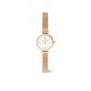 11651 daniel wellington petite mini 19 evergold dw00100745