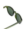ECO Shades sluneční brýle Lupo Transparent Green 8678